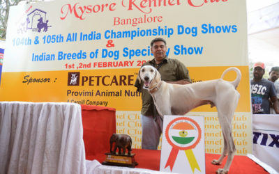 Mysore Dog Show